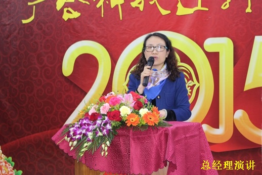 202303061619054186 2015年PG电子科技迎春晚宴